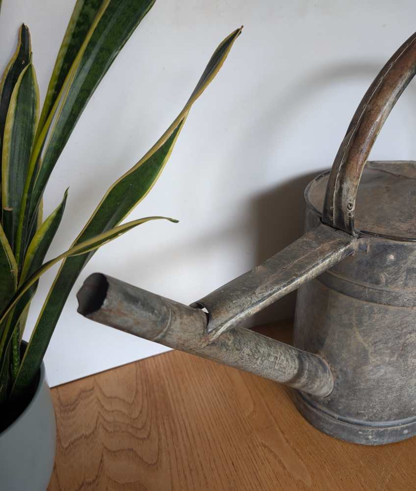 c.1930s thick handled watering can - Image 2
