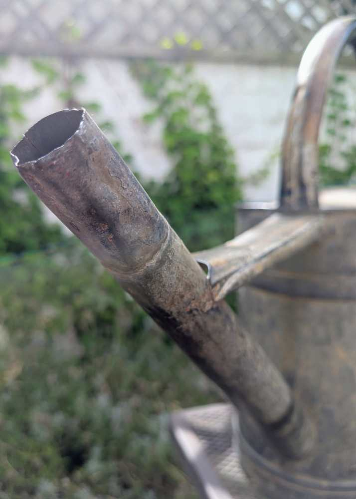 c.1930s thick handled watering can - Image 16