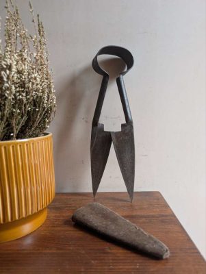 1930s Sheffield steel sheep shears with sheath