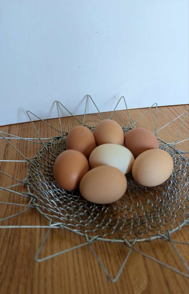 Midcentury collapsing egg basket - fruit bowl - Image 11