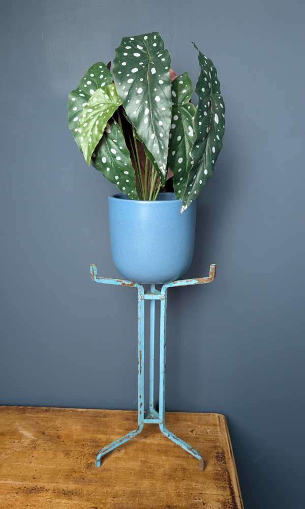 Pair of vintage blue painted steel scientific lab stands - for plants or jewellery - Image 15