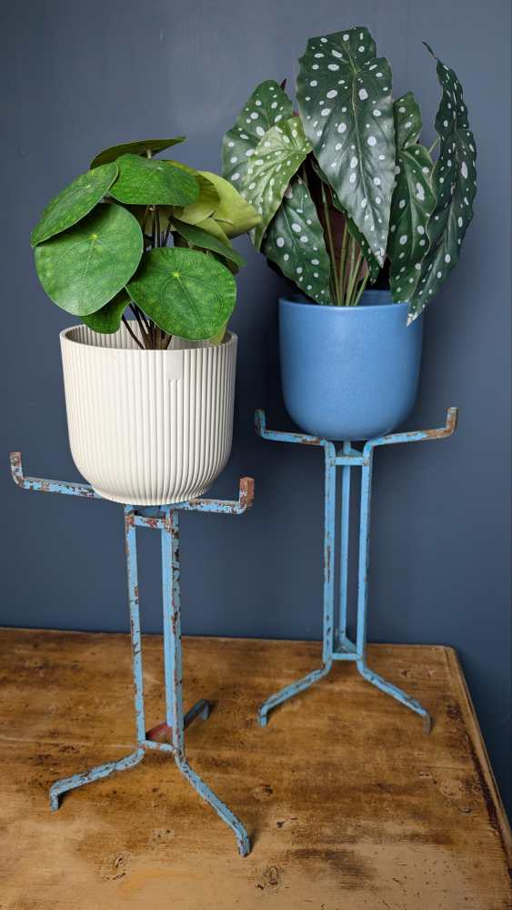 Pair of vintage blue painted steel scientific lab stands - for plants or jewellery - Image 11