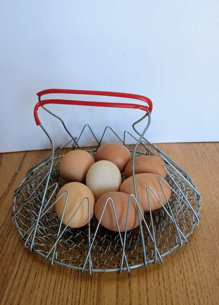 Midcentury collapsing egg basket - fruit bowl
