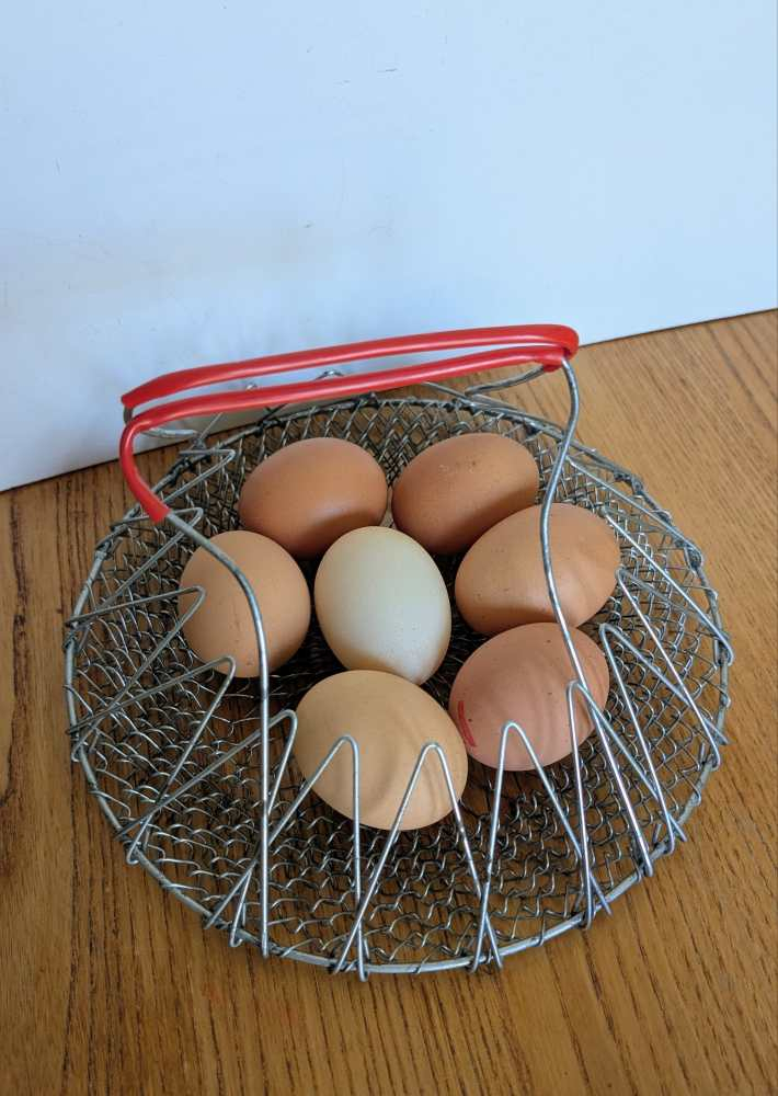 Midcentury collapsing egg basket - fruit bowl - Image 4