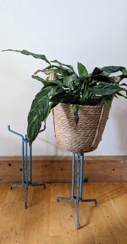 Pair of vintage blue painted steel scientific lab stands - for plants or jewellery - Image 7
