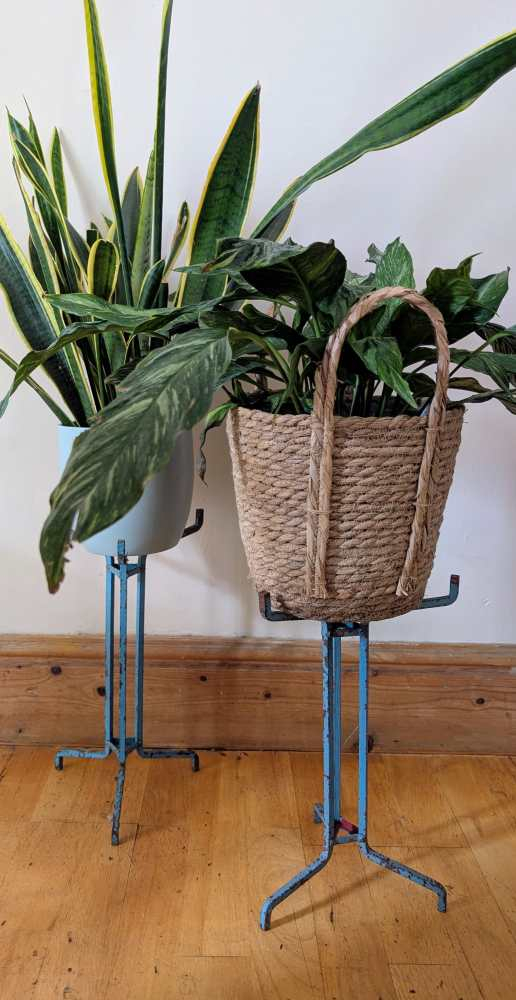 Pair of vintage blue painted steel scientific lab stands - for plants or jewellery - Image 3