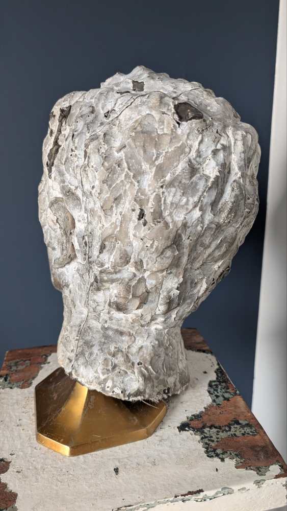Male plaster bust - Image 10