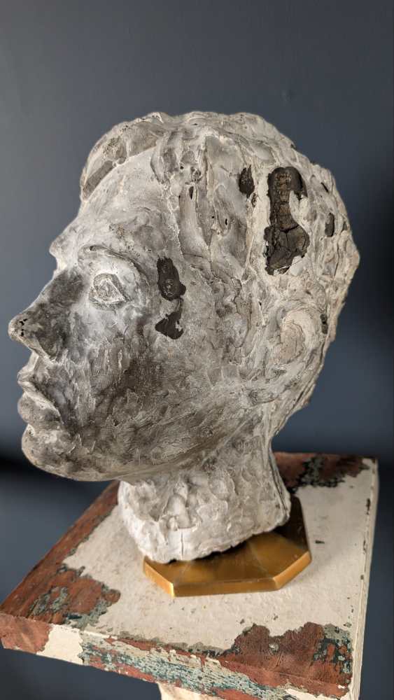 Male plaster bust - Image 6