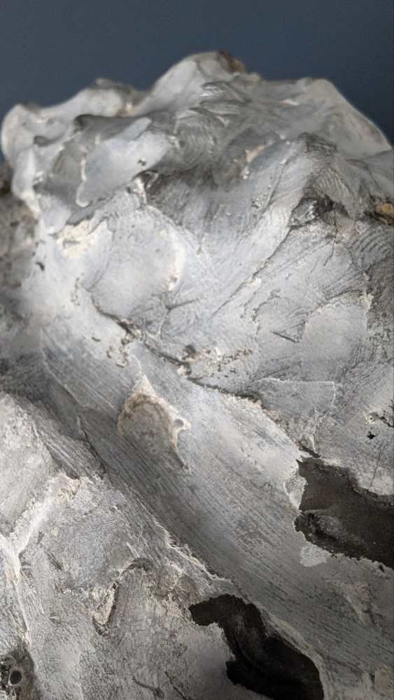 Male plaster bust - Image 9