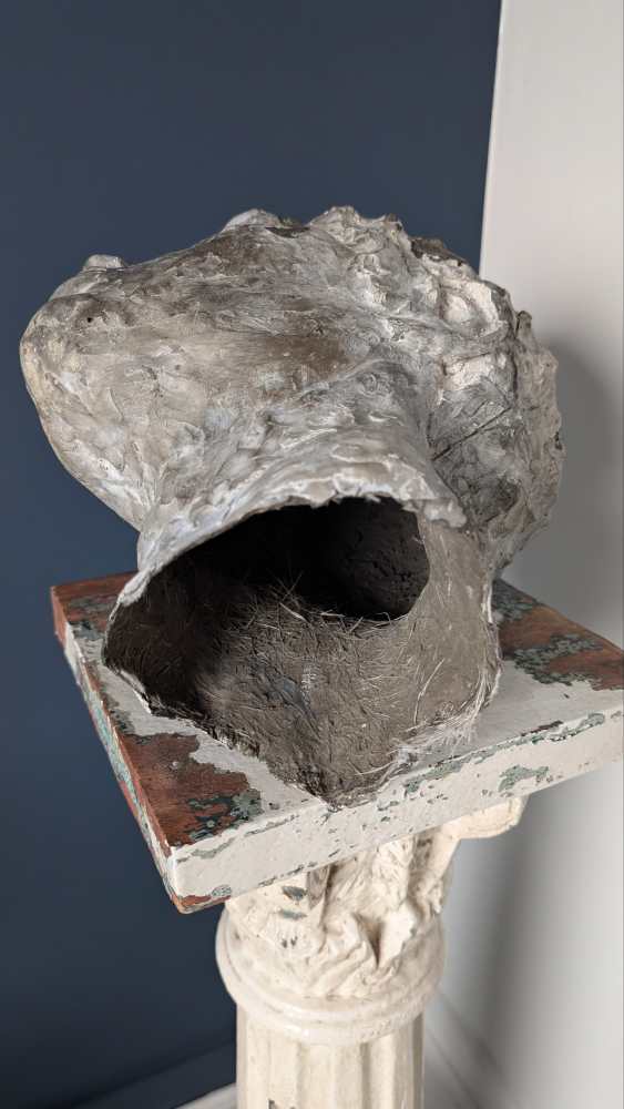 Male plaster bust - Image 13