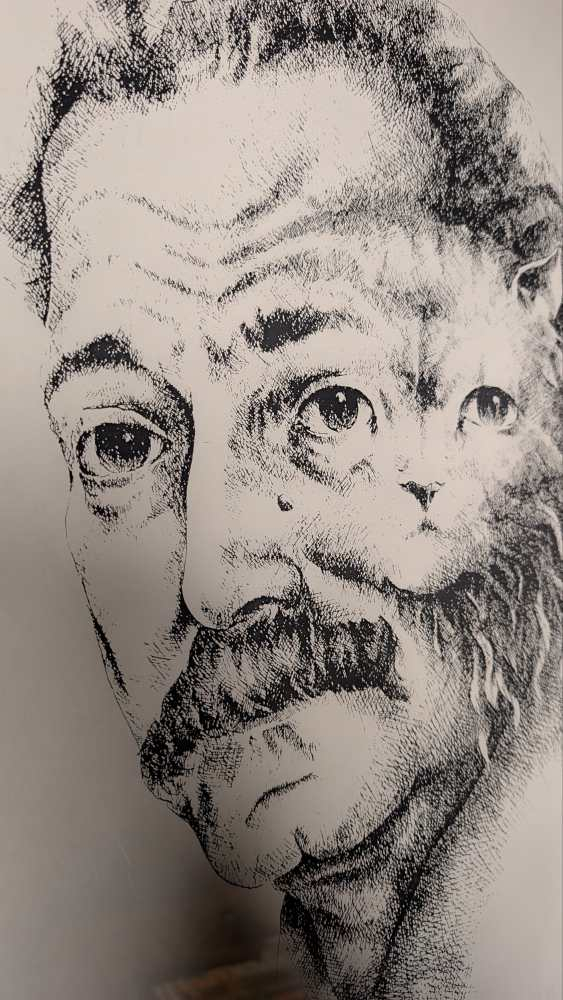 1960s Georges Brassens merged with a cat, illustration in midcentury frame - Image 11