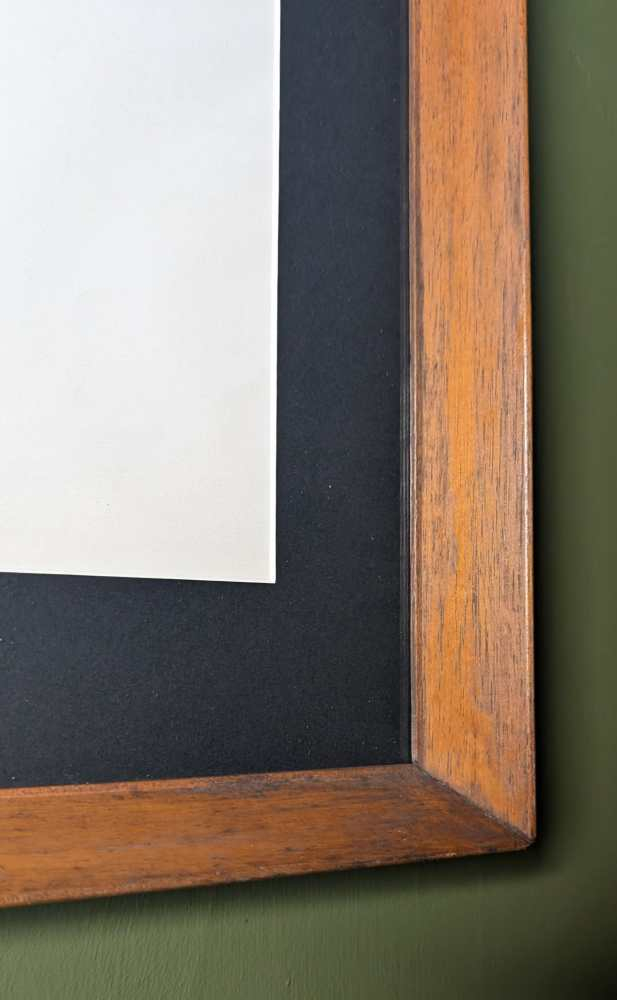 1960s Georges Brassens merged with a cat, illustration in midcentury frame - Image 12