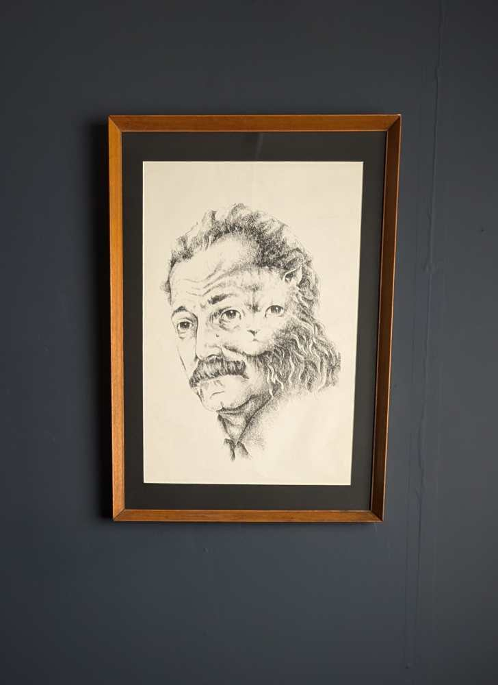 1960s Georges Brassens merged with a cat, illustration in midcentury frame - Image 7
