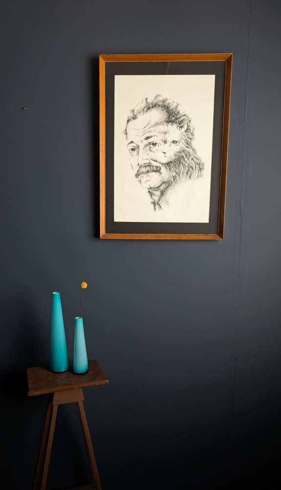 1960s Georges Brassens merged with a cat, illustration in midcentury frame - Image 13