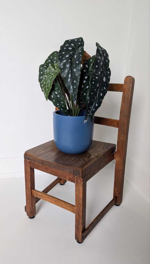 Child's midcentury oak and elm chair - Image 13