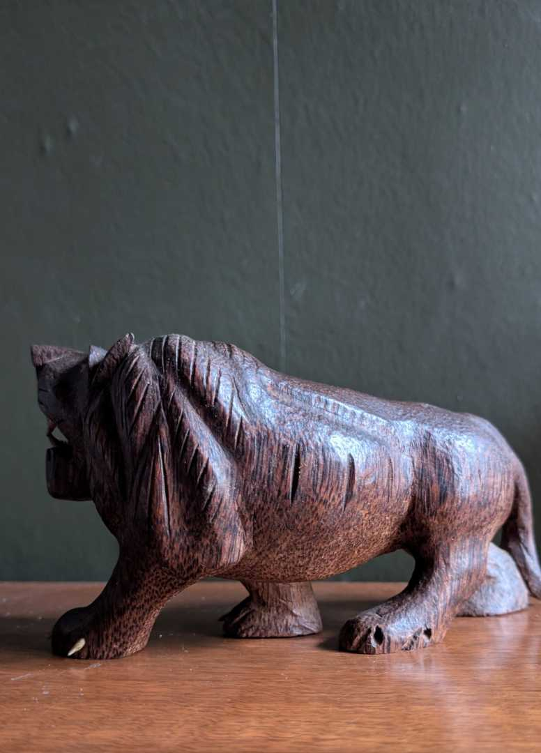 Bad little lion - Image 15