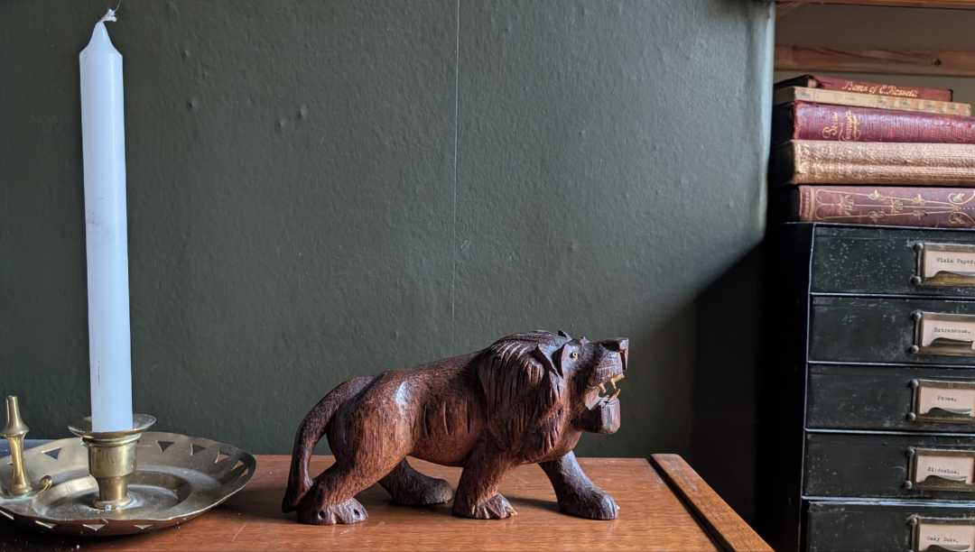 Bad little lion - Image 9
