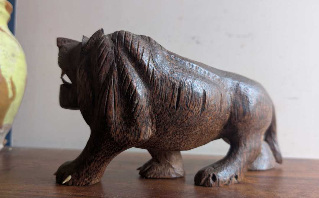 Bad little lion - Image 13