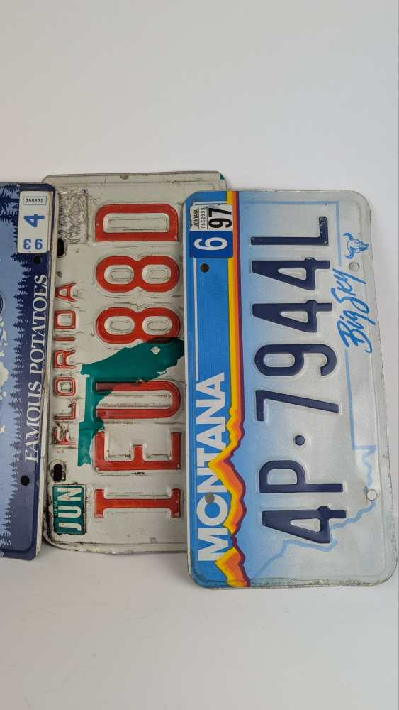 Collection of American vehicle licence plates from the '90s - Image 5