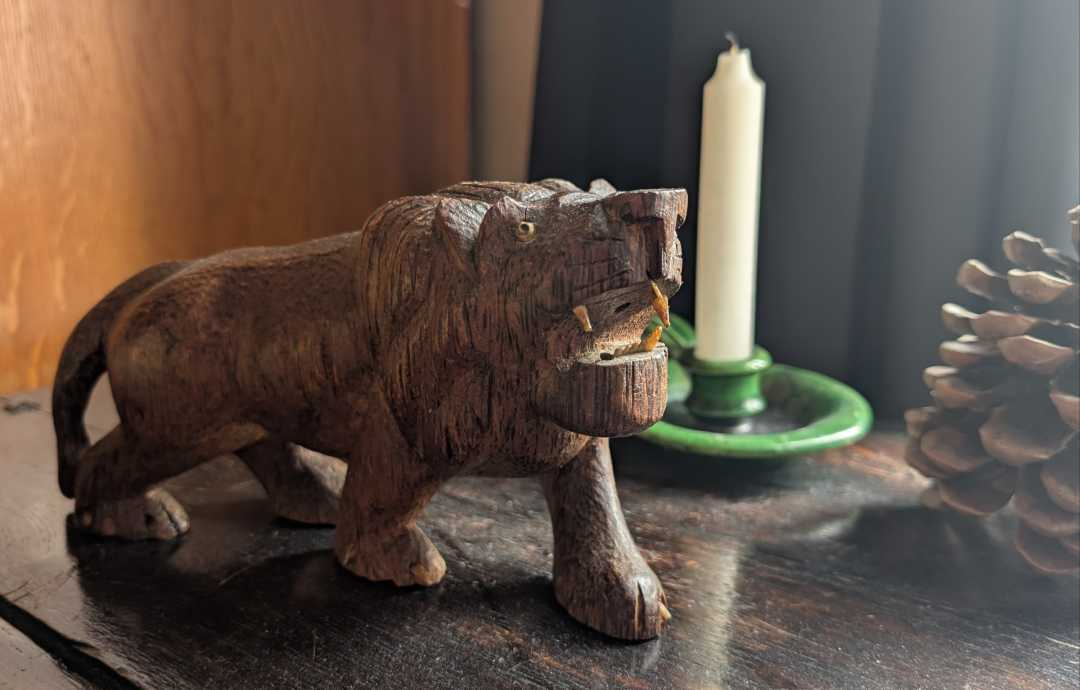 Bad little lion - Image 14